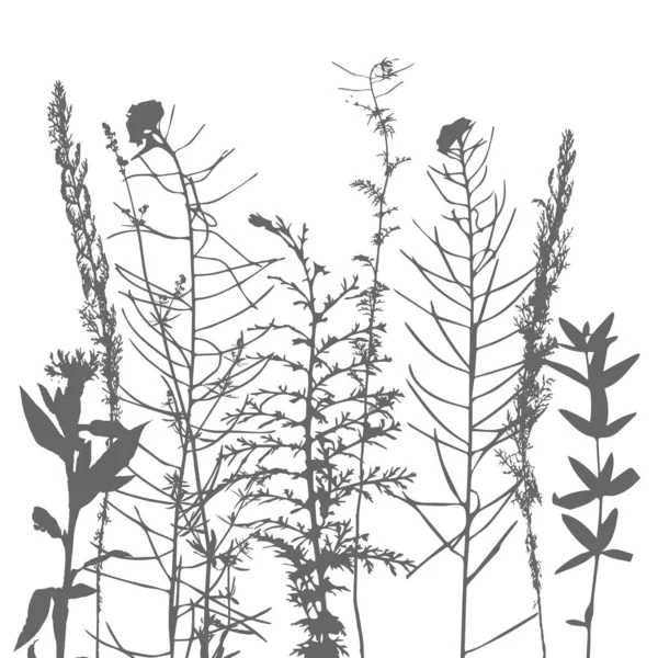 葉と植物のシルエットを持つテンプレート — ストックベクタ