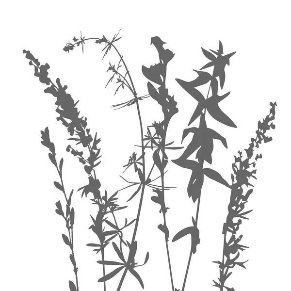 Tempalte z liści i roślin sylwetki — Wektor stockowy