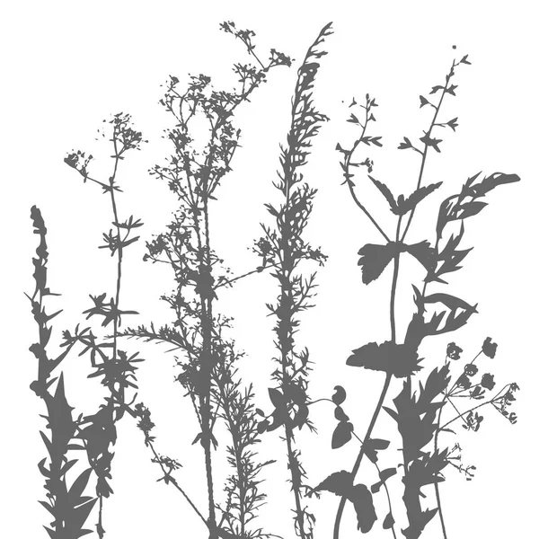 Tempalte с листьями и растениями силуэты — стоковый вектор