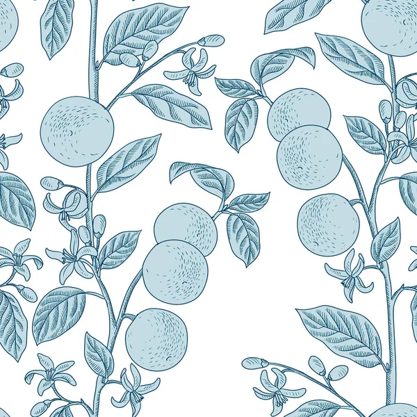 Vector drawing seamless pattern with branch of orange tree — Stockvektor