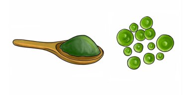 spirulina yosunları çiziyor