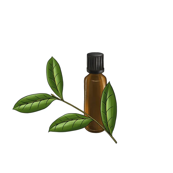 Drawing essential bay oil — Stock Photo, Image