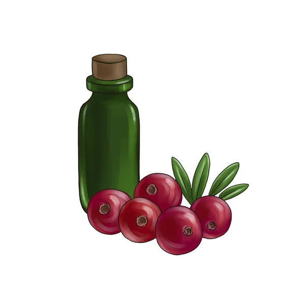 Малюнок ефірної олії насіння журавлини — стокове фото