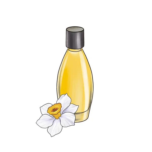 Teckning glas parfym botte och narcissus blomma — Stockfoto