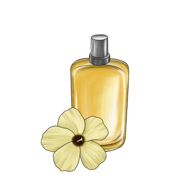 Dibujo botella de perfume de vidrio y flor de ambrette, — Foto de Stock