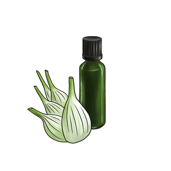 Desenho óleo essencial de sementes de erva-doce — Fotografia de Stock