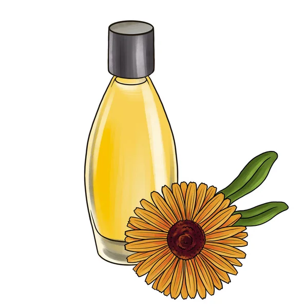 Desenho botte perfume de vidro e flor de calêndula — Fotografia de Stock
