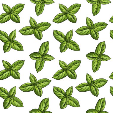 Fesleğen bitkisi ile kusursuz desen