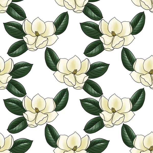 Dibujo flor de magnolia aislada en fondo blanco — Foto de Stock