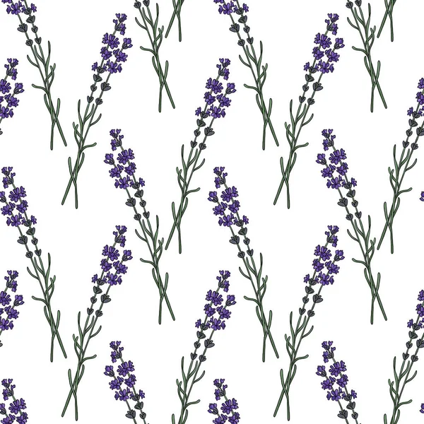 Nahtloses Muster mit Lavendelblüten — Stockfoto