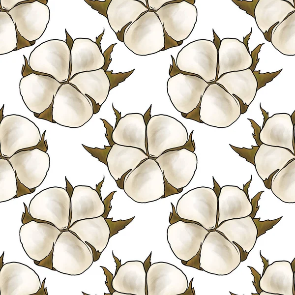 Seamless pattern with cotton pod — Stock Photo, Image