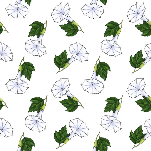 Seamless pattern with flower of datura — Stock Photo, Image