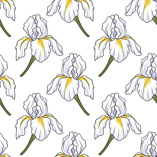 Seamless pattern with flower of iris — Stock Photo, Image