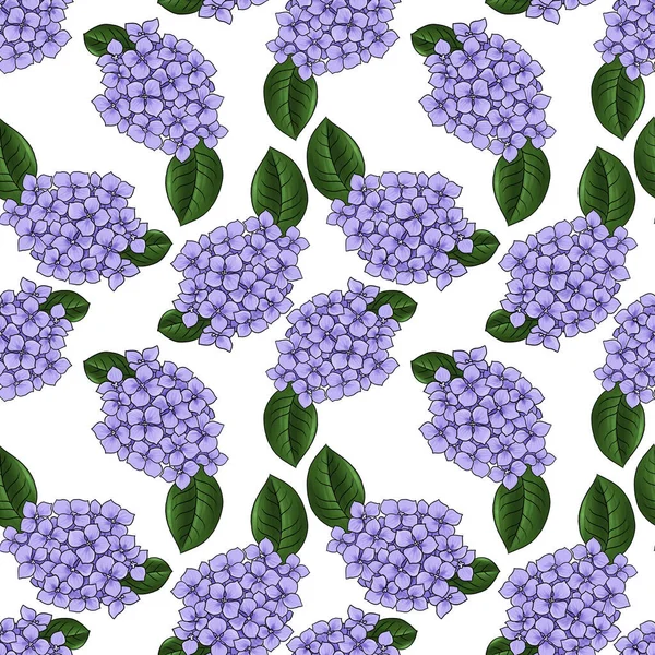 Naadloos patroon met bloem van hortensia — Stockfoto