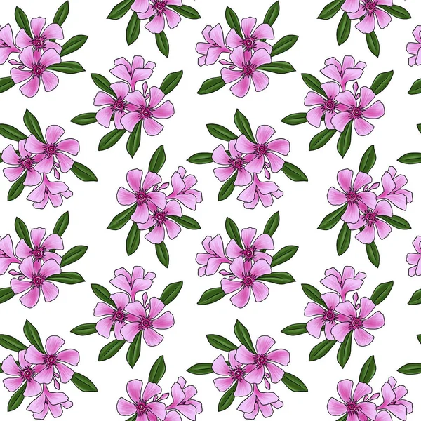 Seamless pattern with flower of oleander — Stock Photo, Image