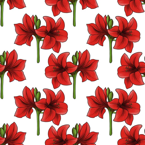 Seamless pattern with flower of hippeastrum — Stock Photo, Image