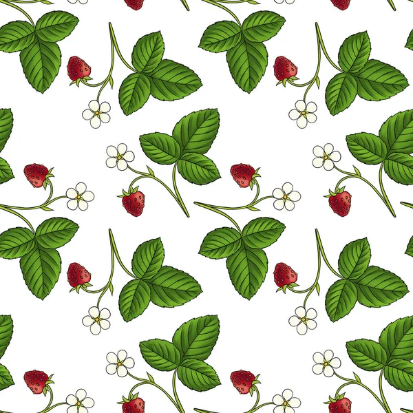 Sömlöst mönster med planta av jordgubbar — Stockfoto