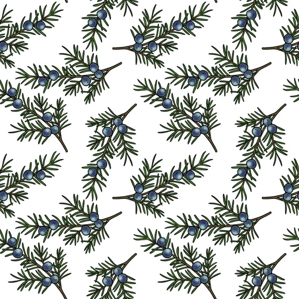 ジュニパーの枝でシームレスなパターン — ストック写真