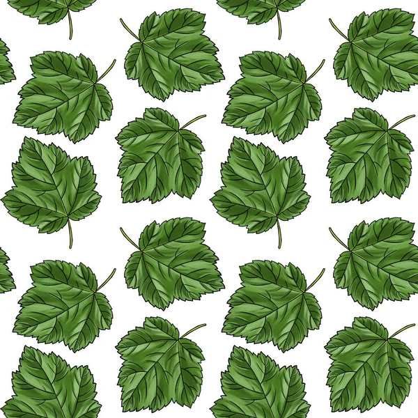 Seamless pattern with leaf of black currant — Stock Photo, Image