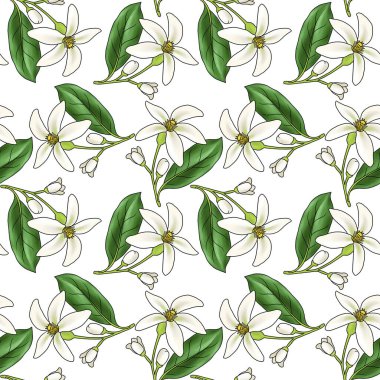 Portakal çiçekli kusursuz desen.