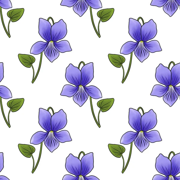 Seamless pattern with flower of viola — Stock Photo, Image