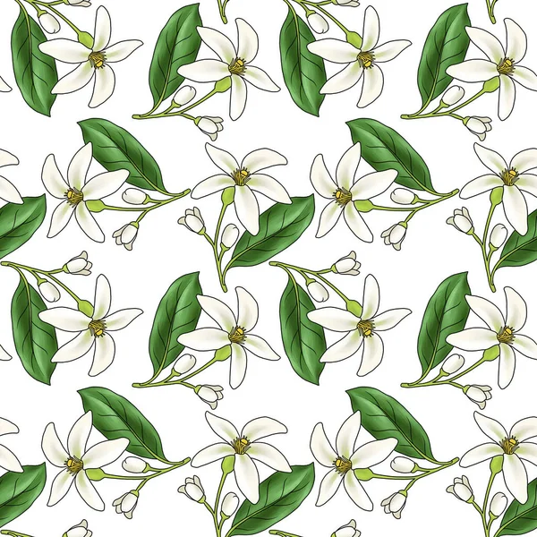 Patrón sin costura con flor de azahar —  Fotos de Stock