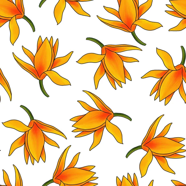 Seamless pattern with flowers of Magnolia champaca — Stock Photo, Image