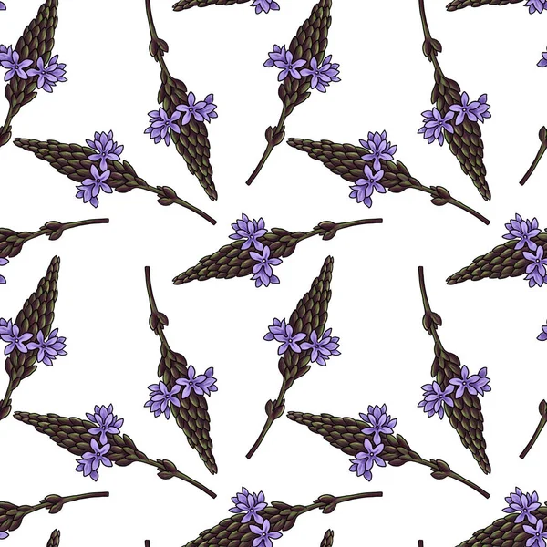 Naadloos patroon met bloemen van verbena — Stockfoto