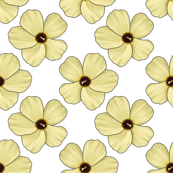 アンブレットの花でシームレスなパターン — ストック写真