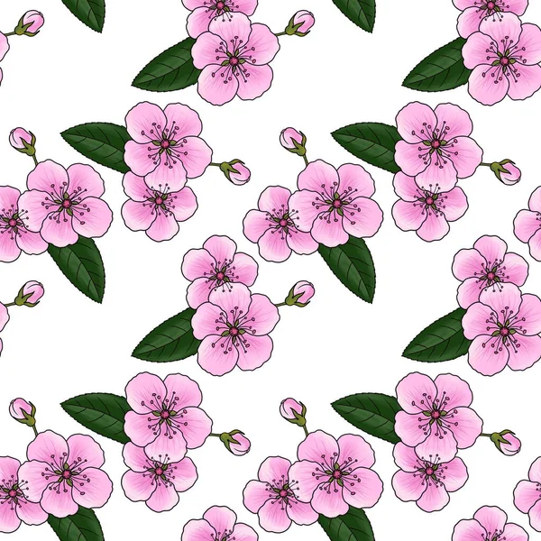 Seamless pattern with flowers of cherry — Stock Photo, Image