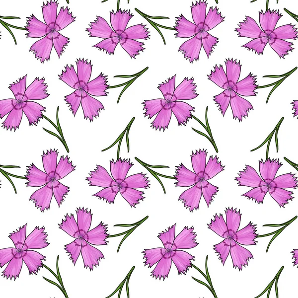Seamless pattern with flowers of carnation — Stock Photo, Image