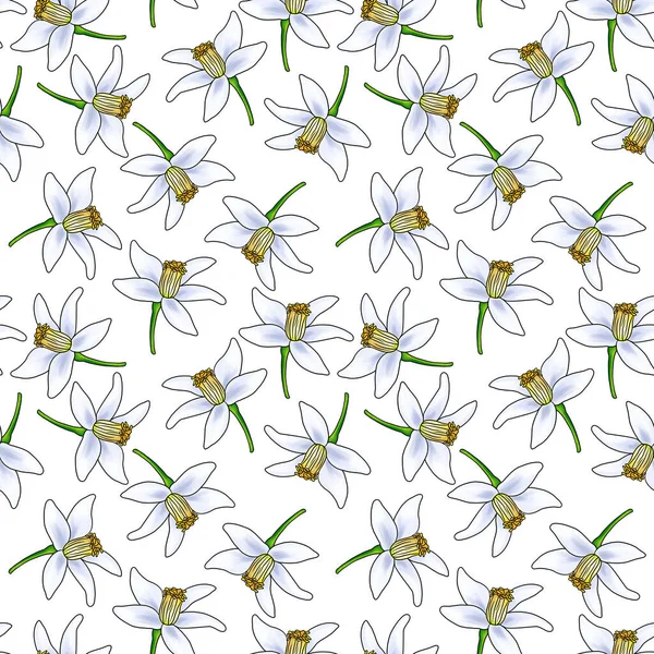 Seamless pattern with flower of neroli — Stock Photo, Image