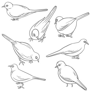 vektör çizimi oturan kuş