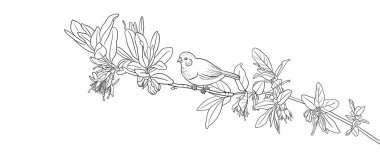 doğal arkaplanı kuşlarla çizen vektör