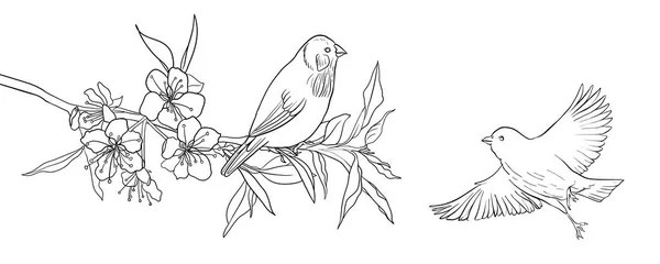 Vektor zeichnet natürlichen Hintergrund mit Vögeln — Stockvektor