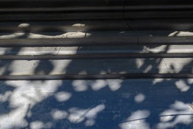 Eski duvardaki dalların ve yaprakların gri gölgeleri. Binanın çatlamış, yıpranmış duvarı. Güneş ışığı. Seçici odak.