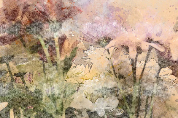 Bukiet Kolorowych Kwiatów Gerbery Pastelowe Odcienie Cyfrowe Malowanie Akwarelami — Zdjęcie stockowe