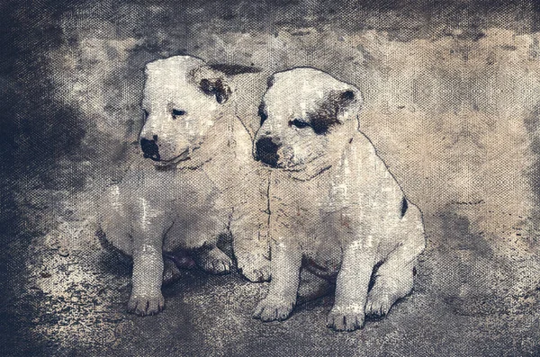 Chiots Alabai Deux Adorables Petits Animaux Aquarelle Numérique Art Moderne — Photo