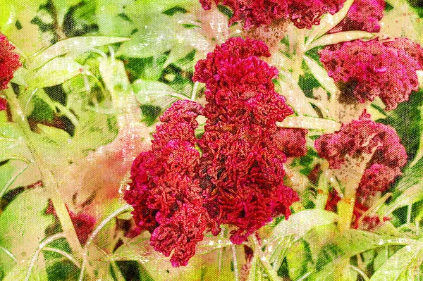 Rode Decoratieve Bloemen Groeien Een Bloembed Floricultuur Digitaal Aquarelleren Moderne — Stockfoto