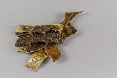 Köpek maması. İşkembe. Gri arka planda kurumuş inek midesi plakaları. Yakın plan. Seçici odak.