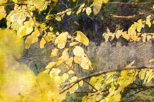 Gele Espenbladeren Een Herfstbos Leafy Seizoen Digitaal Aquarelleren Moderne Kunst — Stockfoto