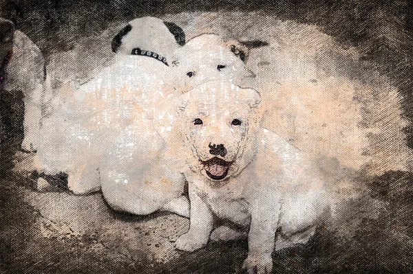 Puppies Young Dogs Breed Central Asian Shepherd Alabai Digital Watercolor — Stock Photo, Image