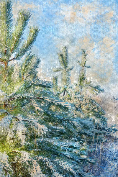 Зимний Хвойный Лес Юные Сосны Покрытые Снегом Холодный Солнечный День — стоковое фото