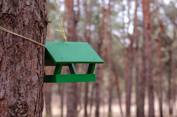 Zielony Drewniany Karmnik Dla Dzikich Ptaków Zwierząt Lesie Karmić Się — Zdjęcie stockowe