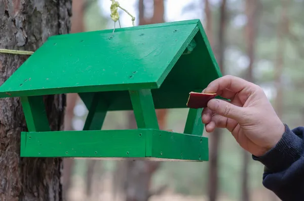 Ręka Umieszcza Kawałek Jabłka Zielonym Drewnianym Karmniku Dla Dzikich Ptaków — Zdjęcie stockowe