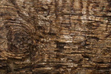 Düğümlü eski bir çürük tahta. Doğal arka plan. Seçici odak.