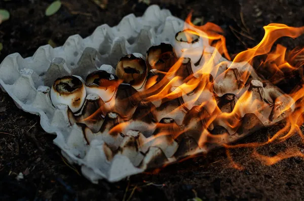 鶏の卵トレイを焼く 段ボール容器と5つの空のシェルが炎に包まれた 選択的焦点 — ストック写真