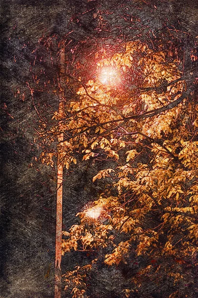 Poste Luz Ilumina Una Calle Nocturna Noviembre Una Lámpara Calle —  Fotos de Stock