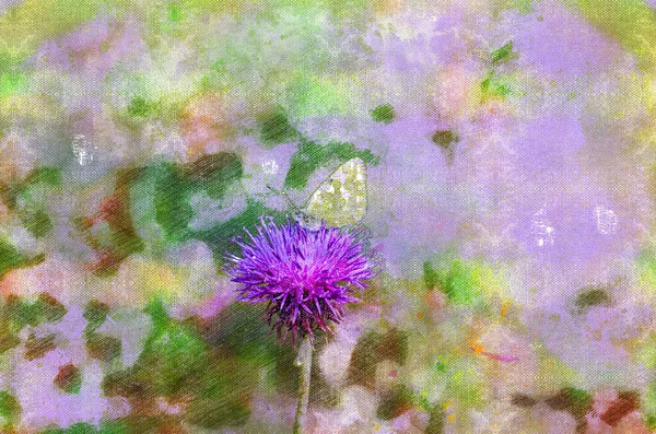 Бабочка Опыляет Лиловый Цветок Цветок Чертополоха Насекомое Размытом Фоне Цифровая — стоковое фото