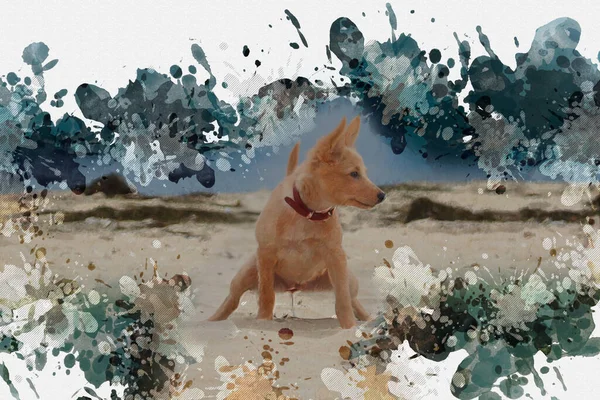 给小狗撒尿三个月大的雌性混血儿在海滩中央撒尿 数码水彩画 — 图库照片